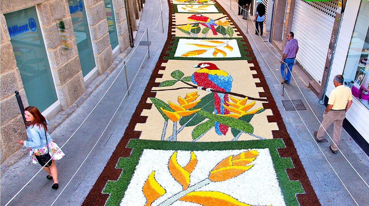 Alfombra instalada para el Corpus de Ponteareas