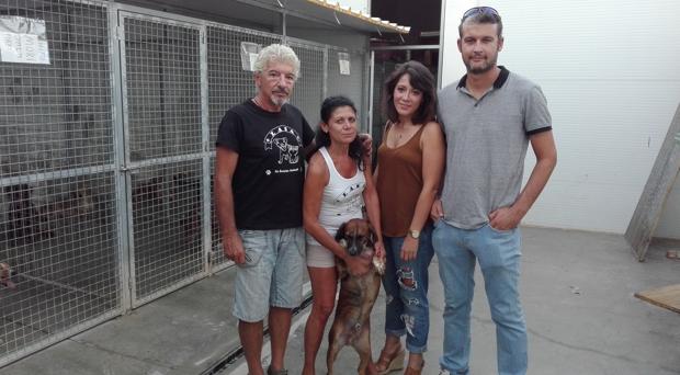 Acusan a un vecino de envenenar desde hace años a los perros de la comarca