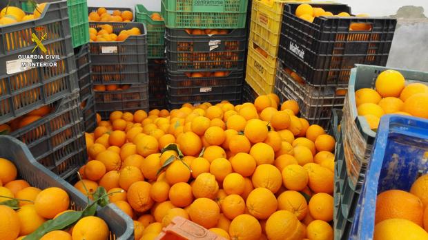 Imagen de archivo de una partida de naranjas localizada por la Guardia Civil