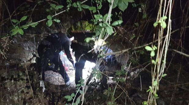 Hallan el cadáver de una mujer en un arroyo en Mairena del Aljarafe