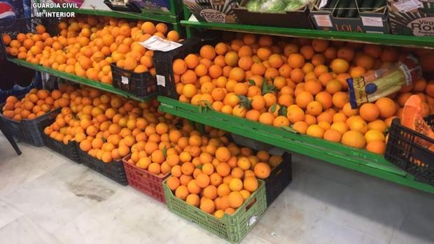 En Sevilla capital se han detectado tres fruterías que comercializaban las naranjas robadas