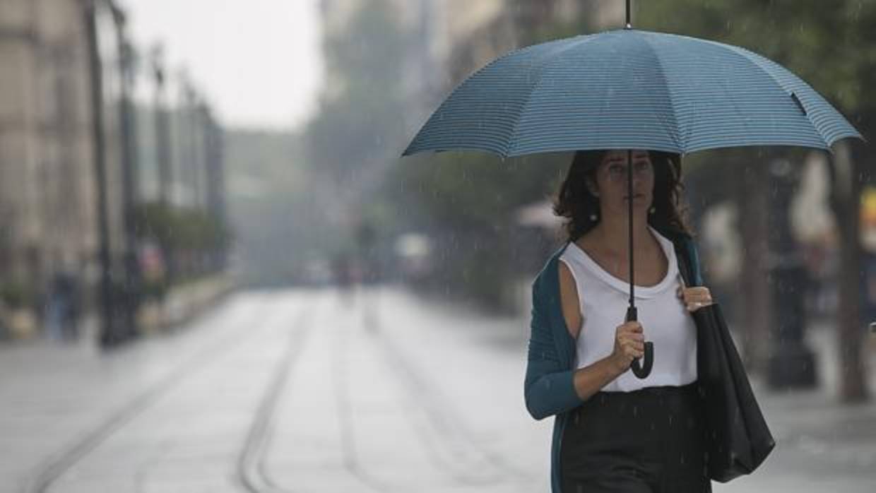 La lluvia llegó ayer con fuerza a la provincia de Sevilla