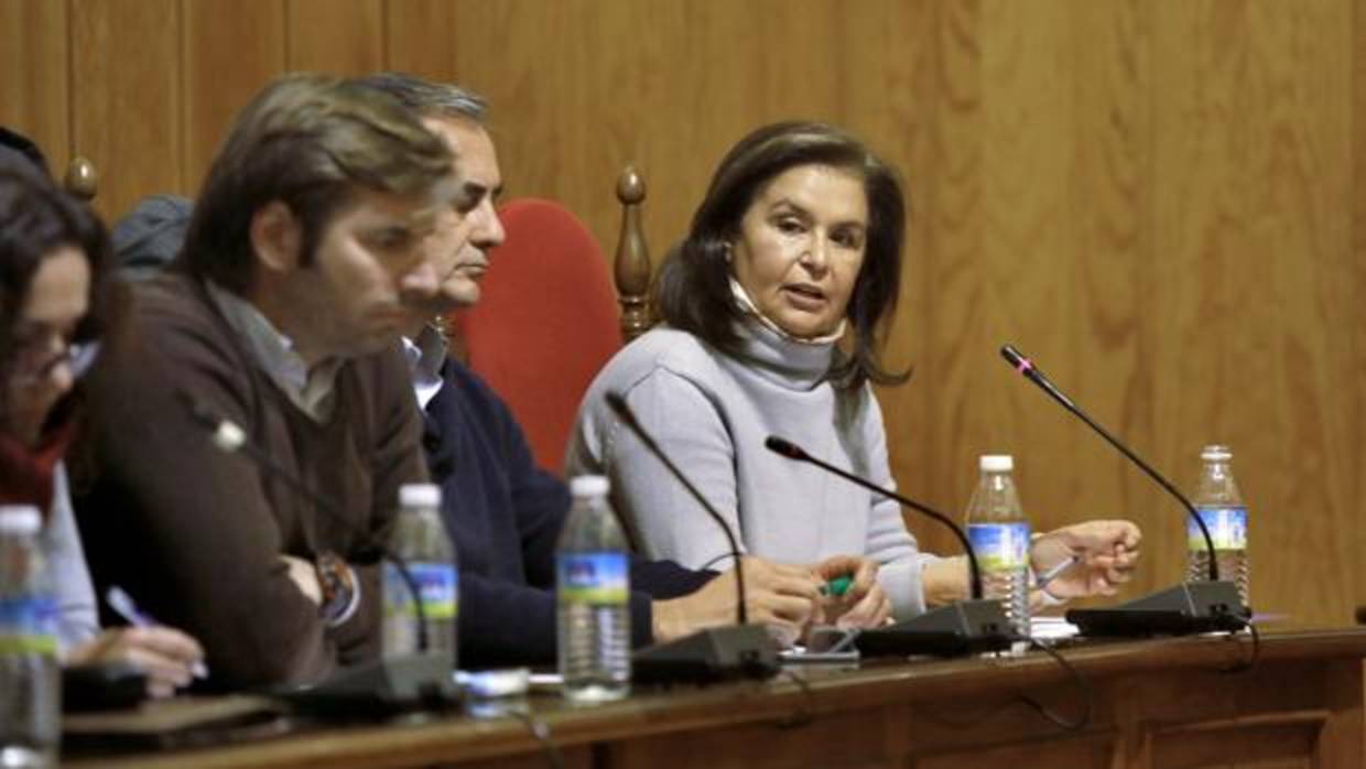 La exalcaldesa de Palomares del Río, Lola Rodríguez, durante la moción de censura de enero