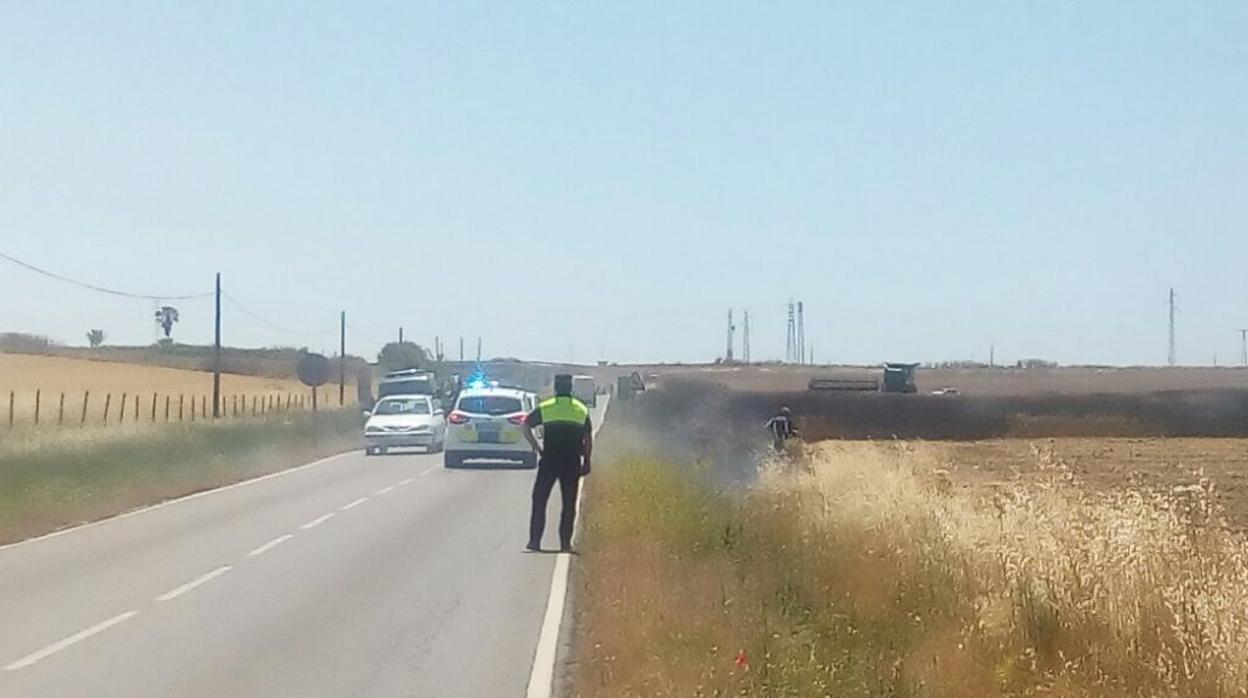 Un incendio devasta en Utrera doce hectáreas de cultivos de trigo