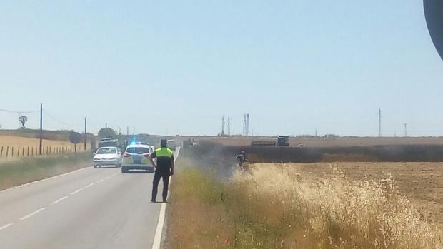 Un incendio devasta en Utrera doce hectáreas de cultivos de trigo
