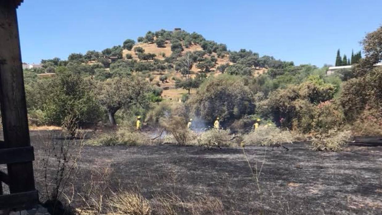 Zona de pastos que ha sido afectada por el incendio