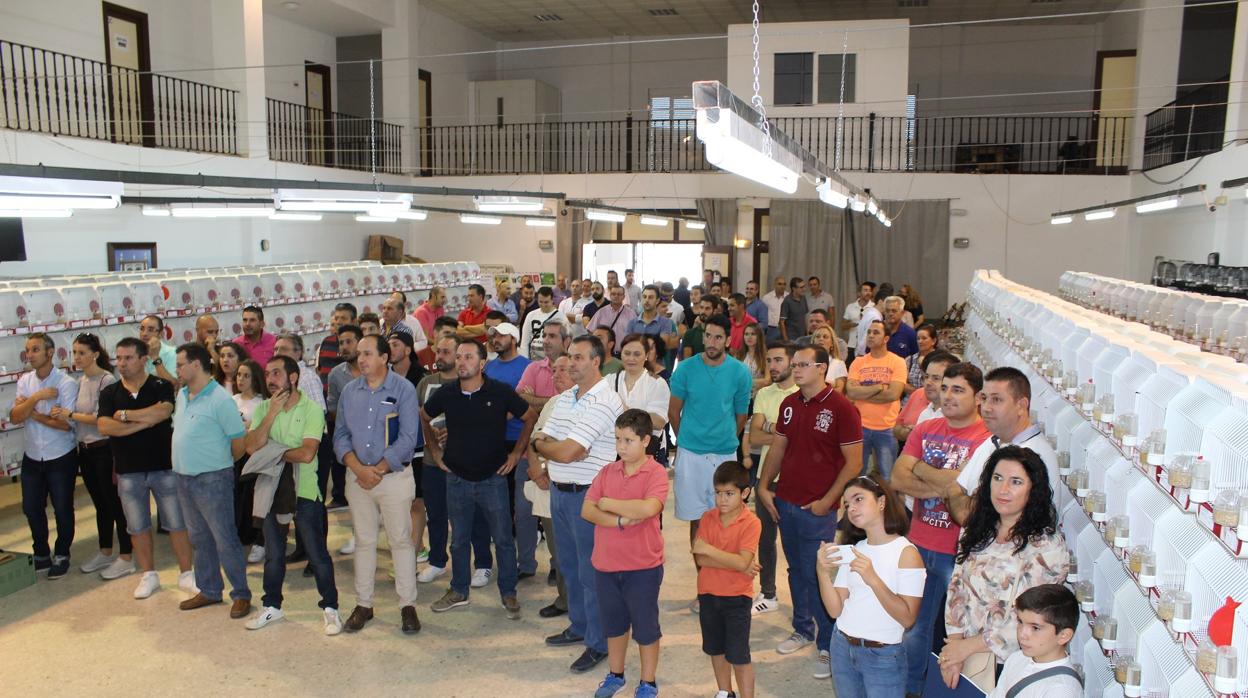 Fuentes de Andalucía celebra esta semana su XIII Concurso Ornitológico