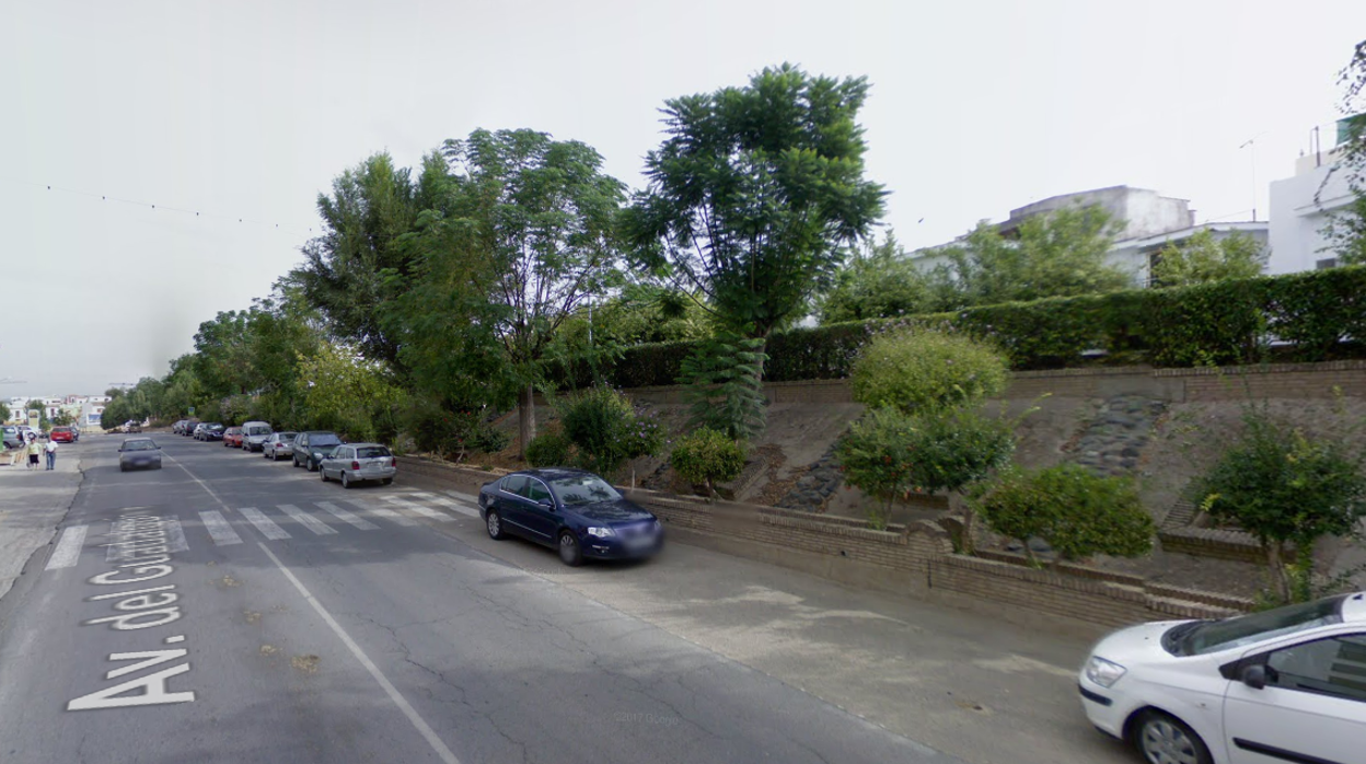 El Consultivo avala indemnizar con 12.866 euros a una mujer herida por la caída de un árbol en Cantillana