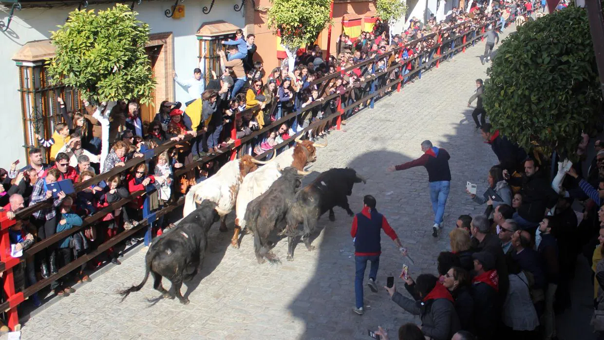 Este sábado se celebra la quinta edición del encierro en honor a San Sebastián