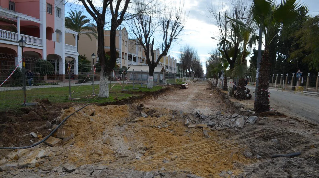 En los últimos años han desaparecido numerosos árboles del casco urbano de Utrera