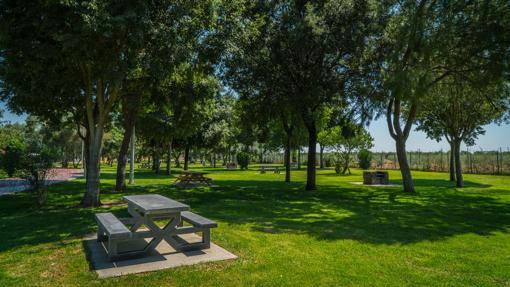 El parque tras su profunda reforma