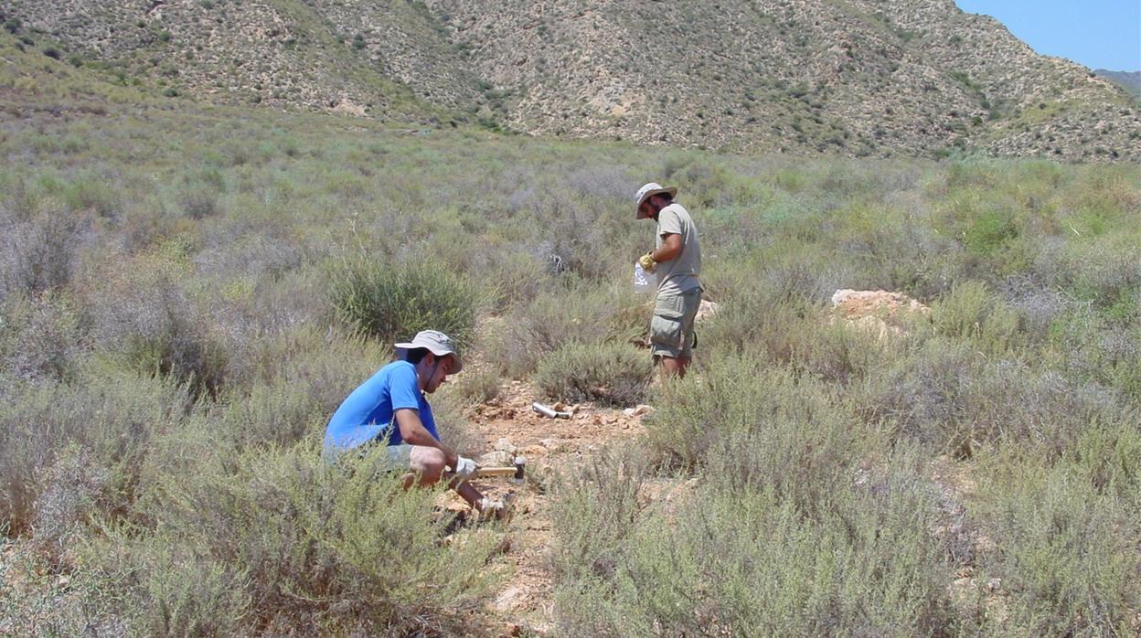 El equipo de investigadores ha analizado suelos situados en casi todos los rincones del globo terráqueo