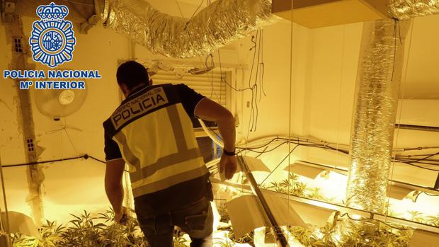 Detenidas cuatro personas acusadas de dedicarse a la venta de distintos tipos de drogas en Écija
