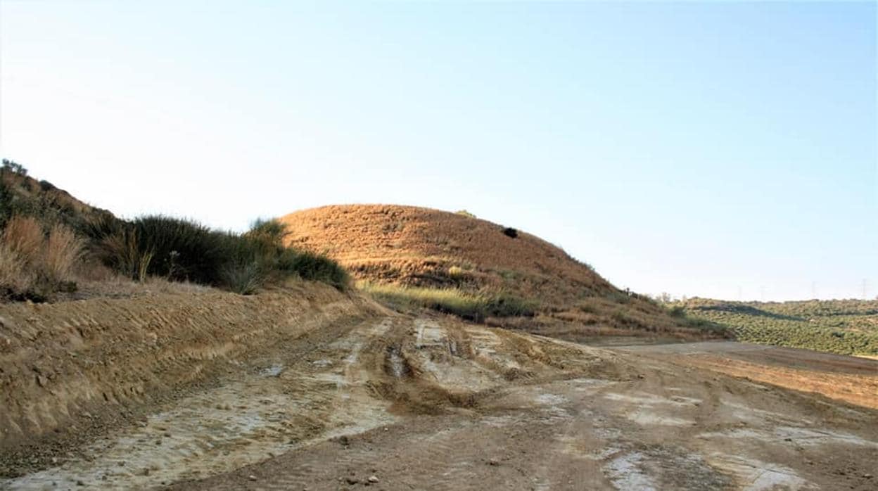 Varios colectivos denuncian un desmonte vertical de tierras que ponen en peligro el túmulo funerario de La Motilla