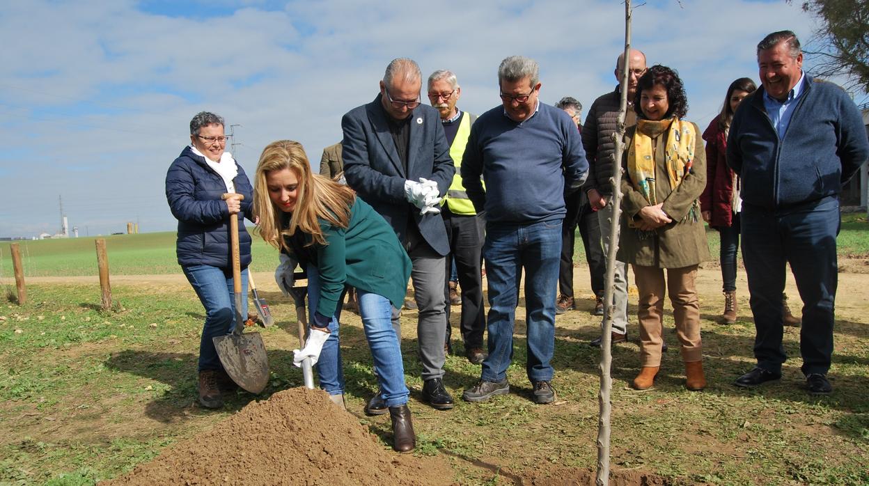 Todos ellos han colaborado en la plantación de cinco olmos autóctonos de la cuenca del Guadalquivir