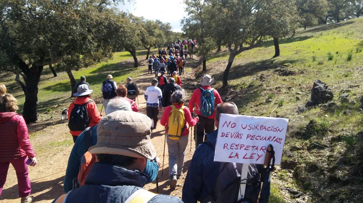 Denuncian la «ocupación» por fincas privadas de la vía pecuaria Vereda de los Contrabandistas de Castilblanco