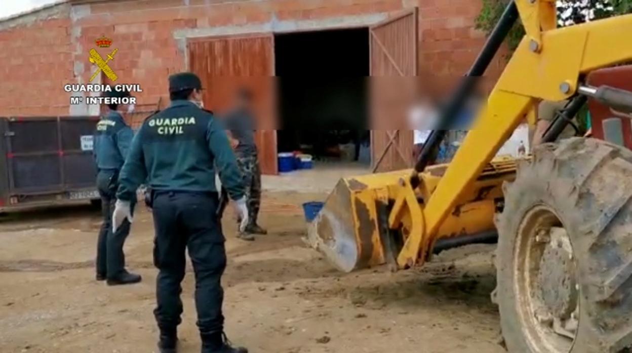Agentes de la Guardia Civil sorprende a un grupo de personas en Las Navas de la Concepción haciendo una matanza en el campo