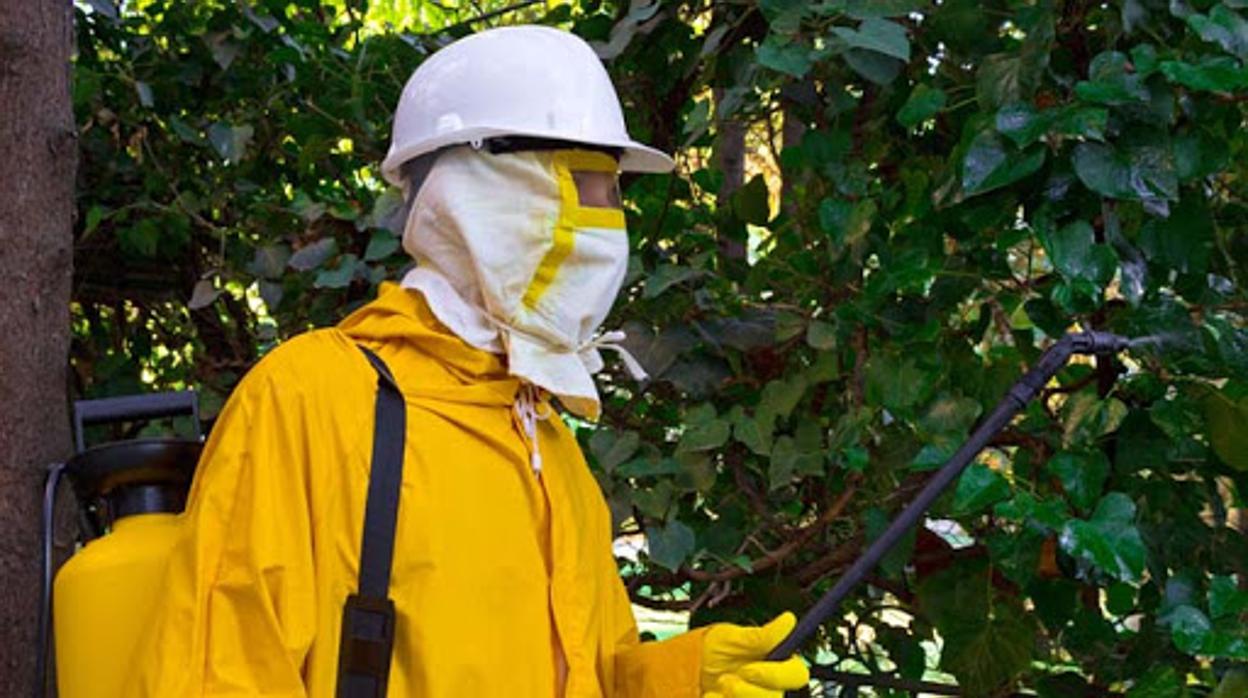 San Juan comienza mañana la fumigación contra el mosquito que causa la enfermedad del virus del Nilo