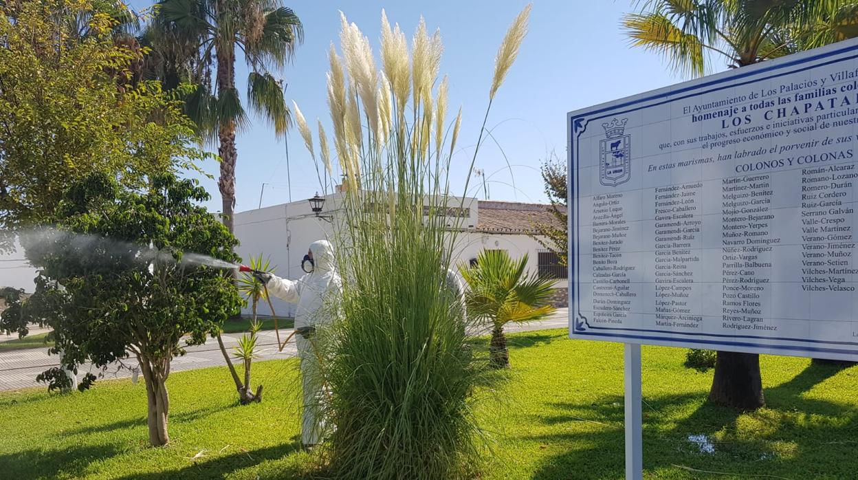 Un trabajador fumiga una zona verde de la pedanía palaciega de Los Chapatales