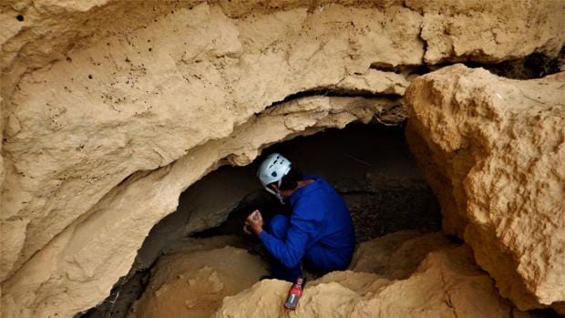 Descubren en una galería subterránea de Carmona una antigua mina de agua «colonizada» por zorros