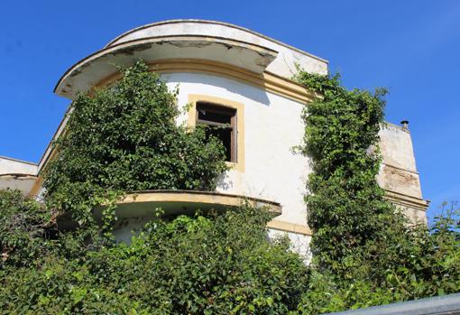 La vegetación crece actualmente a sus anchas en las instalaciones de la antigua fábrica