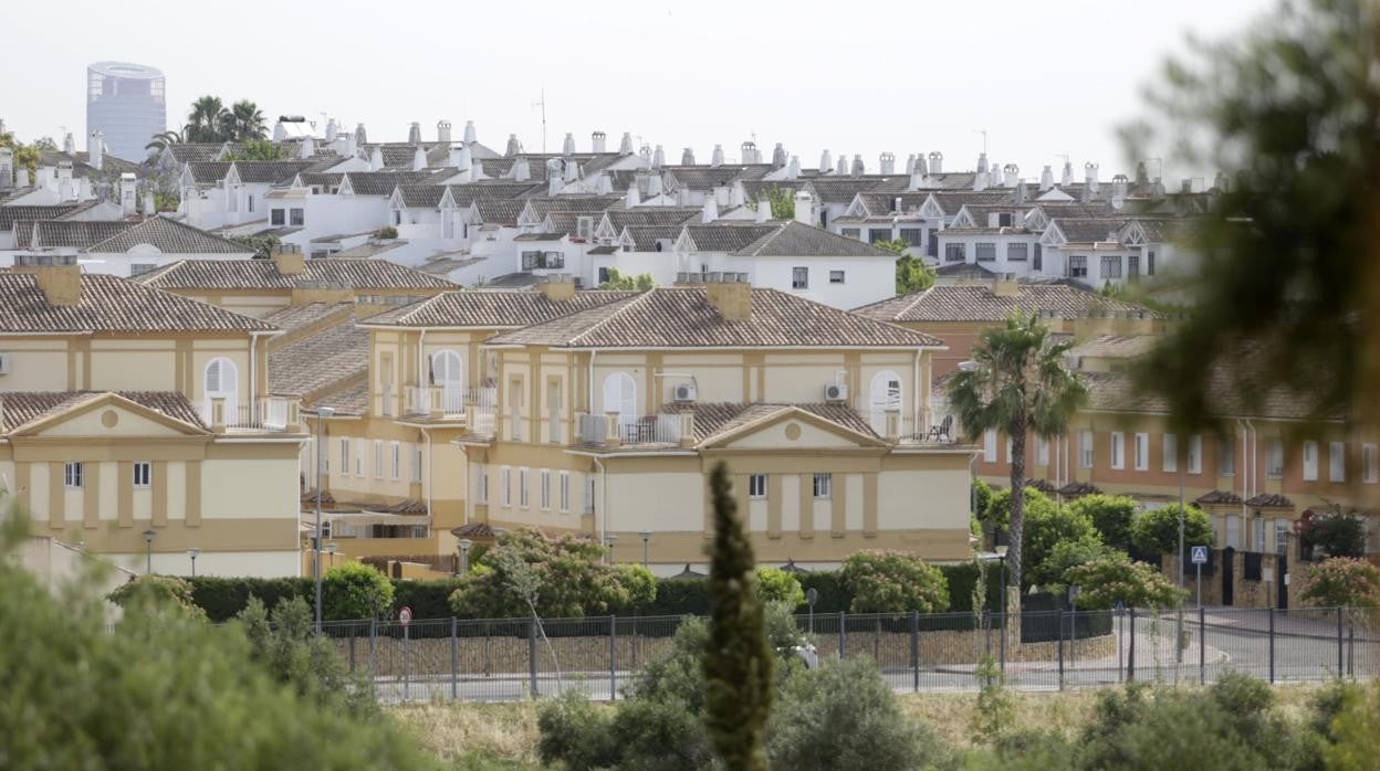 Un vecino de Tomares cobra al año más del doble que otro de Pruna