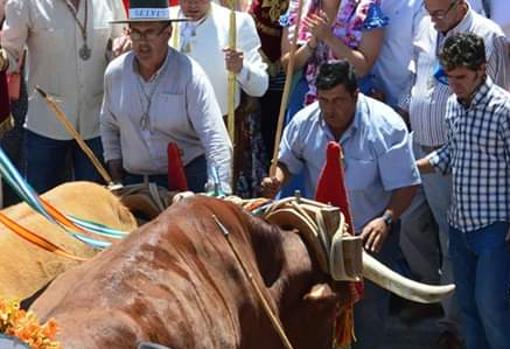 Juan, el boyero bajando el Simpecado tras el incidente