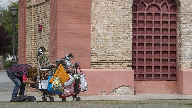«La fuente del parque de los Perdigones es el lavadero de los “sintecho” y el césped, el baño»