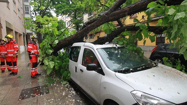 Las lluvias elevan el nivel de los pantanos que abastecen Sevilla al 80%