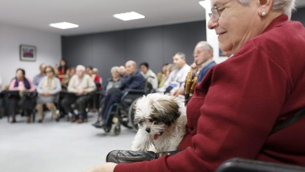 Las personas mayores y los niños son los principales beneficiarios de la compañía canina