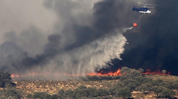 En siete días han ardido en Sevilla más hectáreas que en los últimos cuatro años