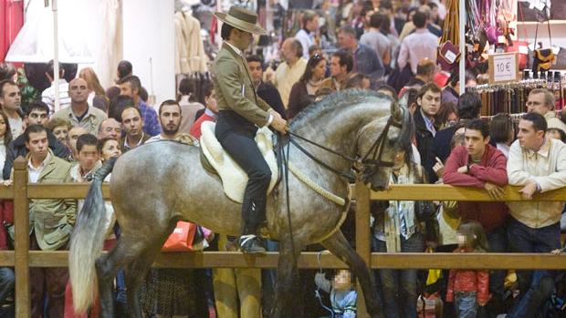 ¿Cuánto cuestan los arreos de un caballo?