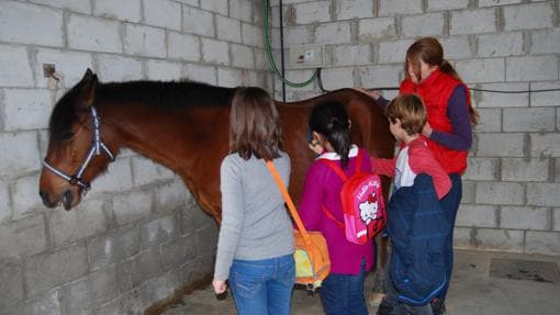 La monitora enseña a los más pequeños cómo cuidar de los caballos