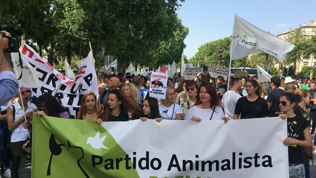Manifestantes en contra de la tauramaquia, hoy en Sevilla