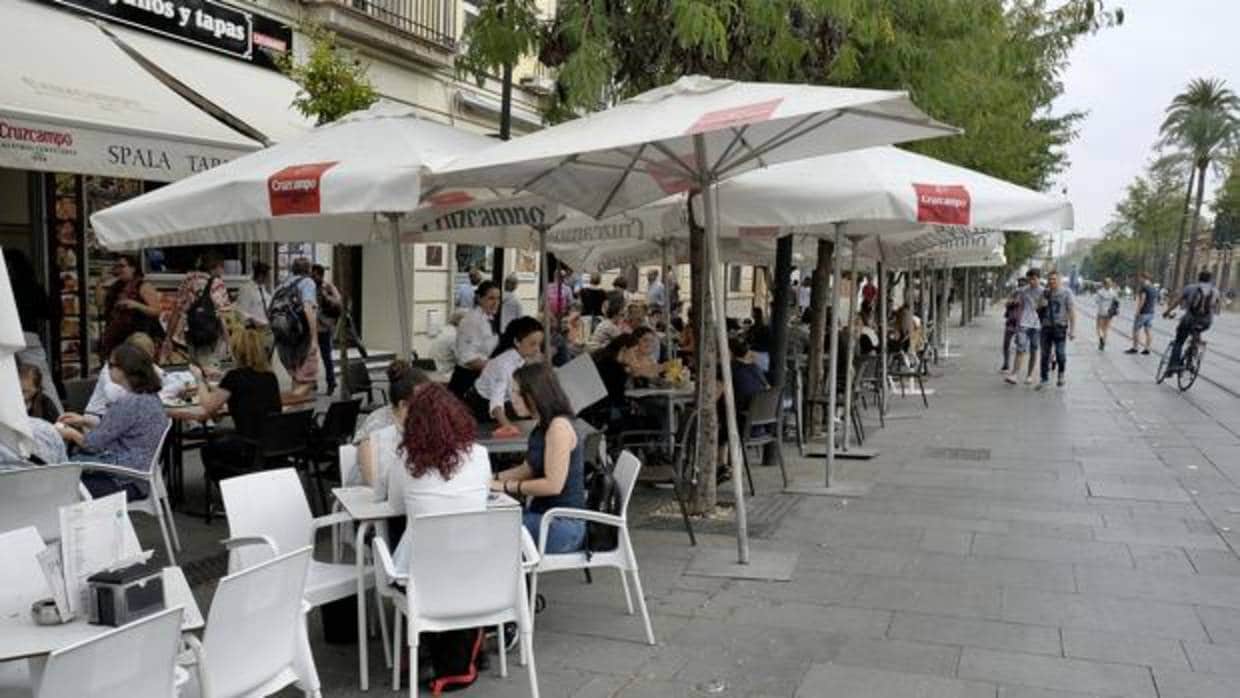 Veladores en la calle San Fernando de Sevilla