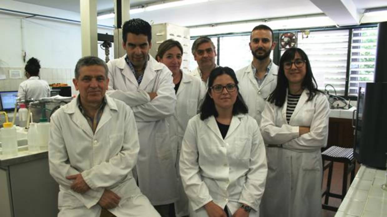 Los autores de la investigación han obtenido un bioplástico que absorbe hasta cuarenta veces su peso