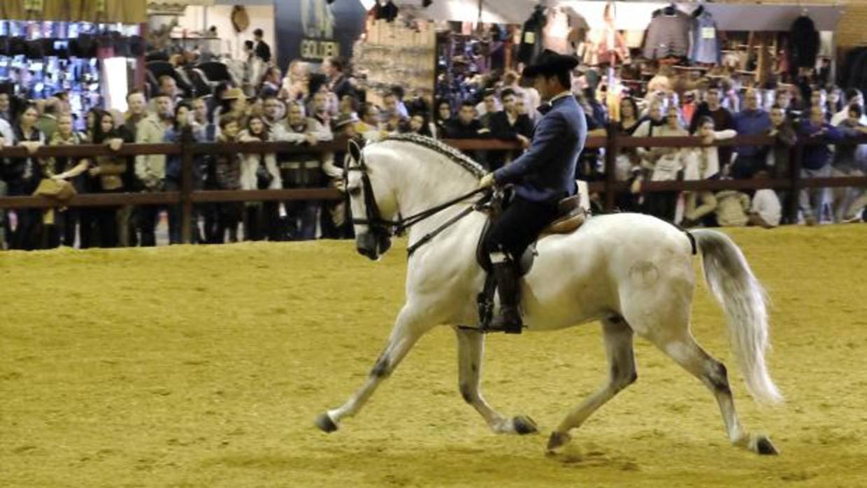 Una de las exhibiciones de la pasada edición de Sicab