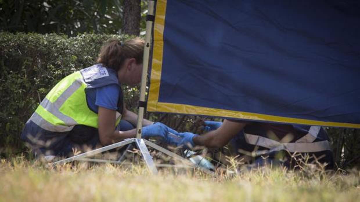 La Policía Científica recogió en el crimen de María del Pilar un indicio fundamental