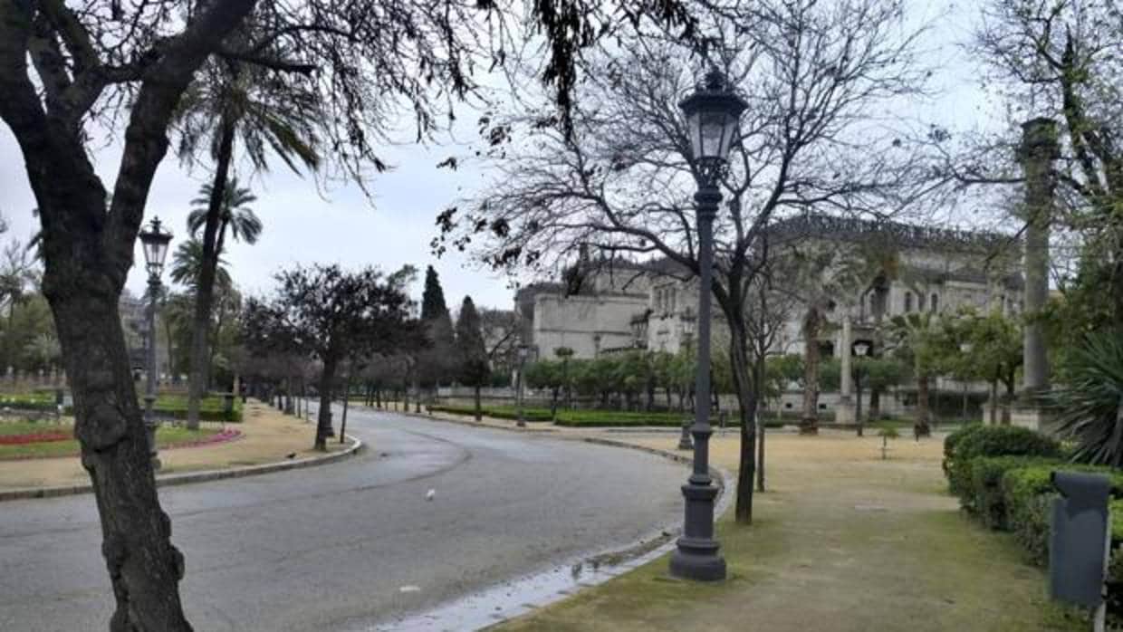 El parque de Maria Luisa lleva quince dias cerrados debido al temporal de viente que azota Sevilla