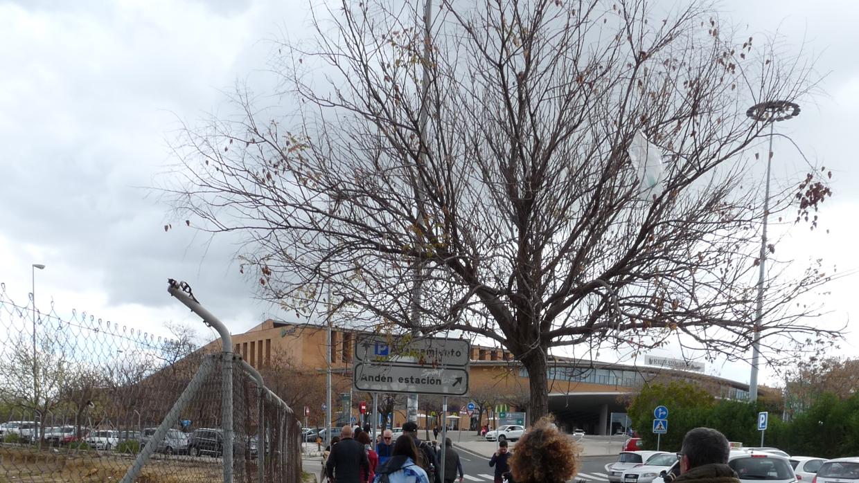 Viajeros en el tramo de acera que conecta con la estación de Santa Justa