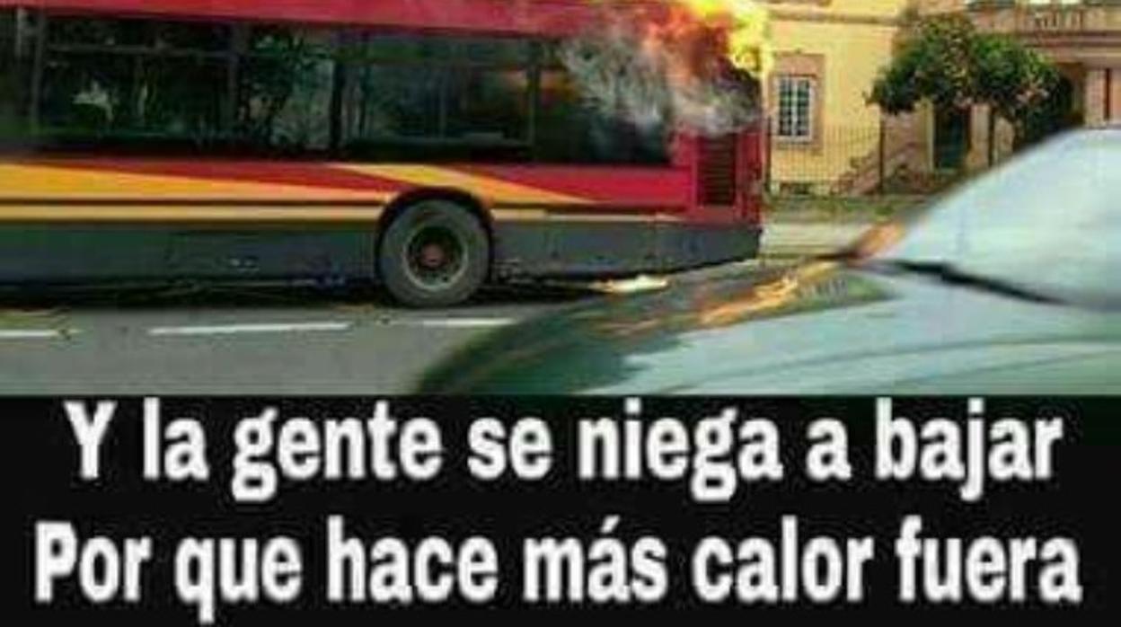 Humor refrescante para combatir la ola de calor en Sevilla