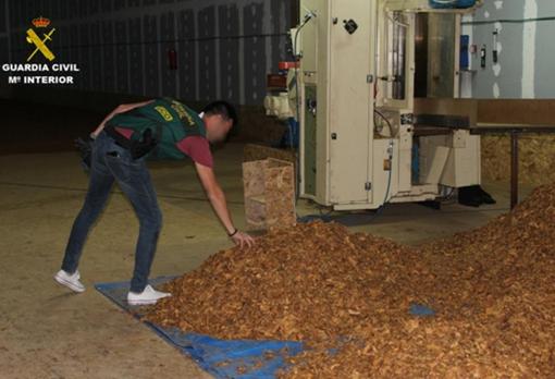 En Mairena del Alcor operaba una fábrica clandestina de tabaco