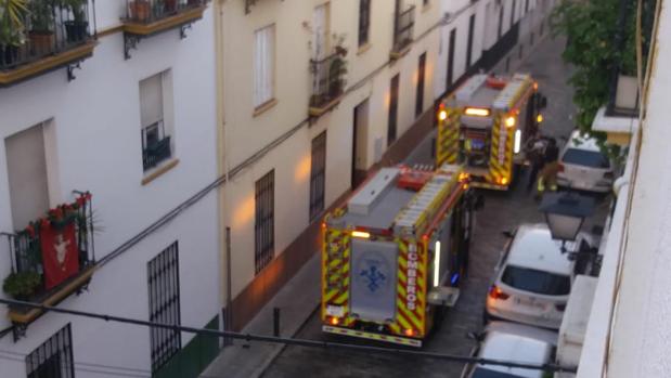 Una ropa de camilla provoca una falsa alarma de incendio y moviliza cuatro camiones de bomberos en la Alameda de Hércules