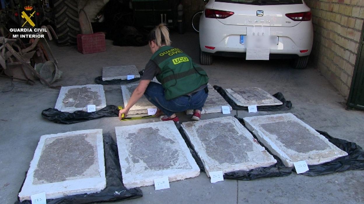 Una agente de la Guardia Civil, con algunas de las piezas intervenidas