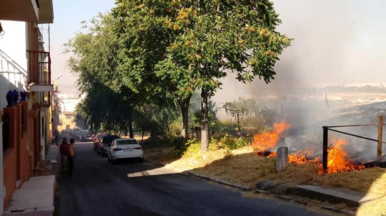 Las llamas que hubo este lunes en el incendio del Cerro del Carambolo en Camas