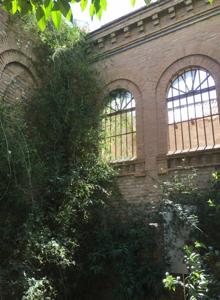 Vegetación descontrolada en los jardines