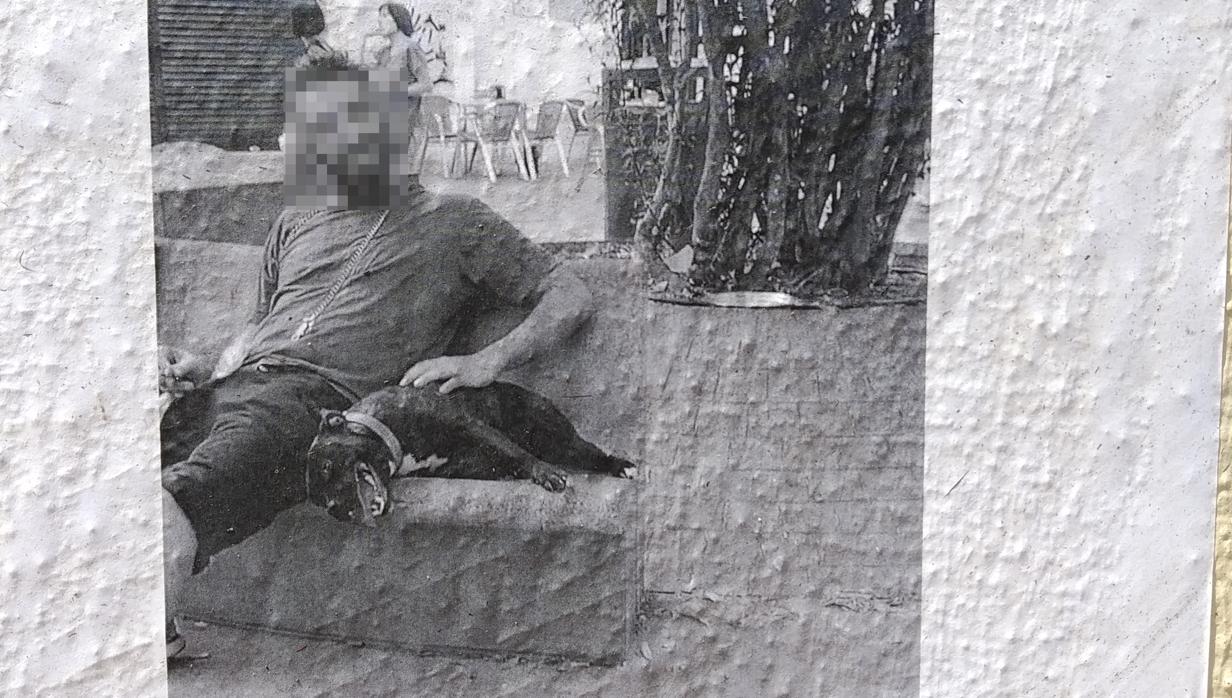 Uno de los carteles que han pegado en la zona de la Alameda