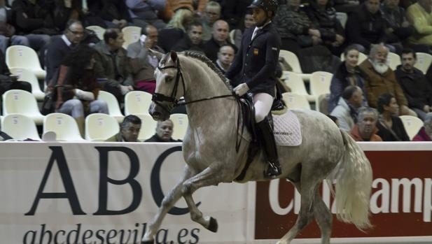 Arranca hoy Sicab 2019 con más de mil caballos y récord de participación