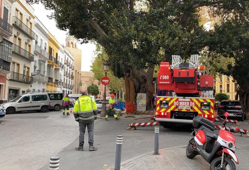 Intervención de los Bomberos en la plaza Cristo de Burgos