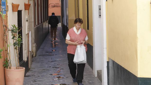 Itinerarios peatonales, semáforos humanos... así superará Sevilla las estrecheces en las calles y la Giralda